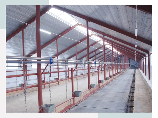 Строительство коровников в Сызрани от 608 руб.